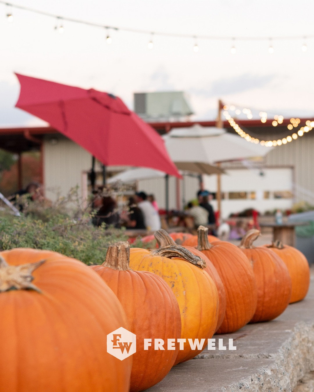 Halloween on a Saturday?! We've been waiting for this 🎃

If you need a pick-me-up before the trick-or-treating begins, swing by Fretwell and the Little River cafe! We'll have your favorite fall drink waiting for you.

Costumes 100% encouraged (pup costumes especially) 👻