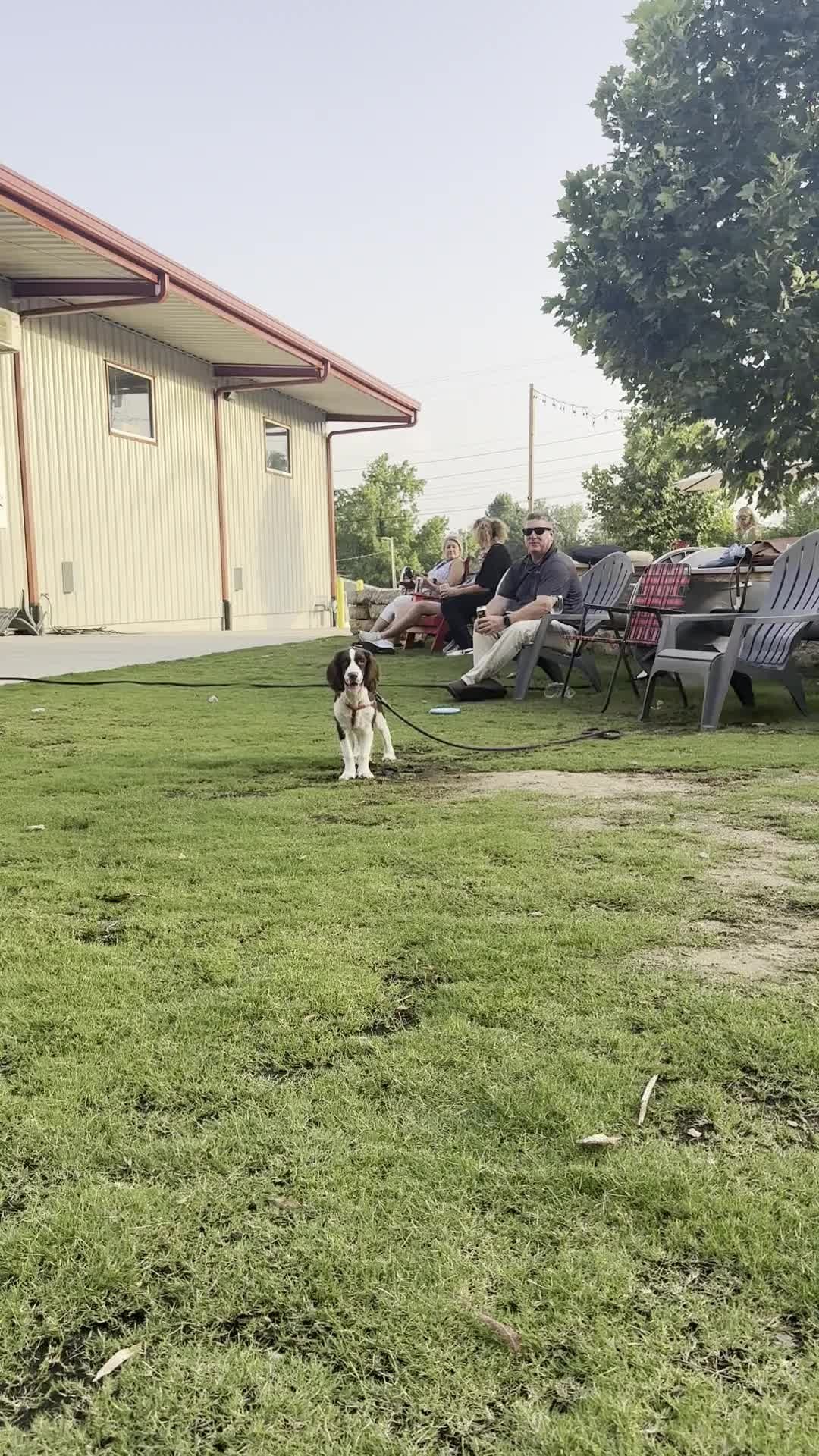Happy National Dog Day! 🐶 Did you know our lawn is dog-friendly? Bring your pup on a leash and enjoy the Fretwell fun together!*

*Dog-friendly means your dog has to be friendly to meet this requirement. Please note only service dogs are allowed inside @littleriverroasting.