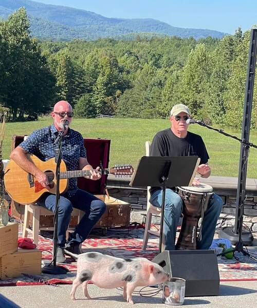 Bill and Tad's Excellent Duo
