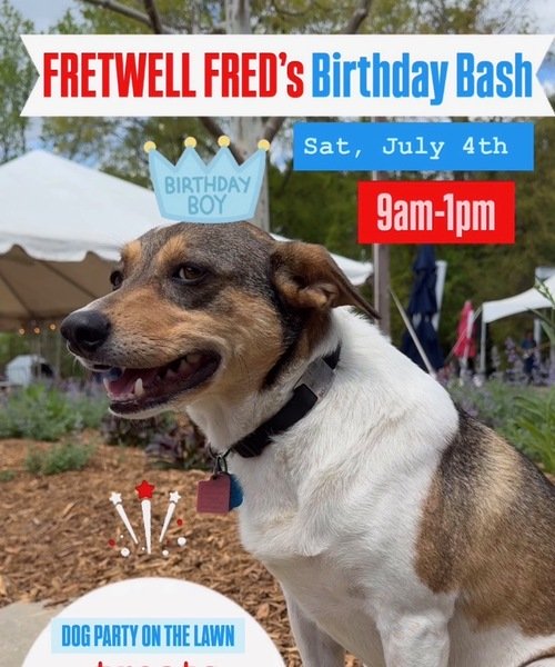 Fretwell Market + Fred's Birthday Party